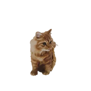 Um modelo 3D de um gato malhado laranja sentado, com textura detalhada de pelagem e olhos alertas, apresentado em um fundo br