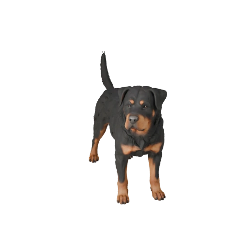 Modelo 3D de Perro Rottweiler para Blender - Asset PBR con Texturas