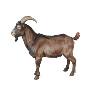 Goat 3D Model for Blender - PBR Asset with Textures | Royalty-Free
