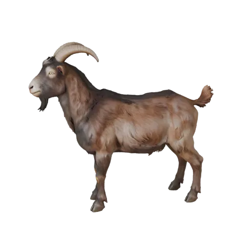 Goat 3D Model for Blender - PBR Asset with Textures | Royalty-Free