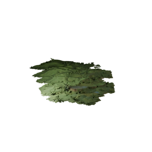 Misty Swamp Biome 3D Model Biomes for Blender Scenes