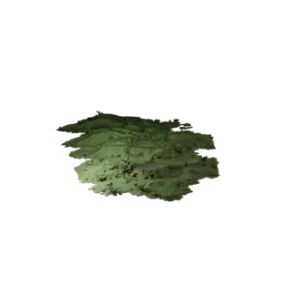 Misty Swamp Biome 3D Model Biomes for Blender Scenes