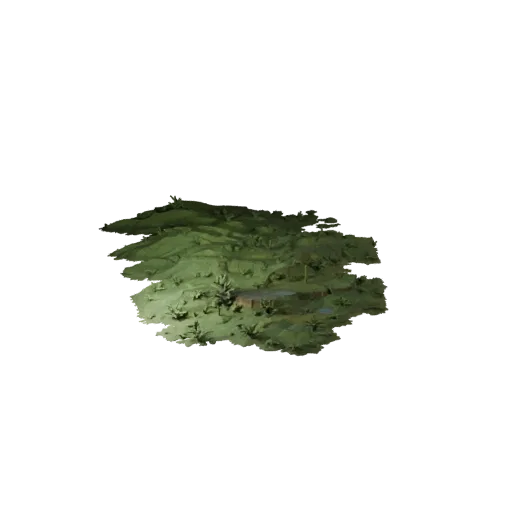 Misty Swamp Biome Realistic 3D model, three-quarter environment render, showing terrain layers, mud shelves.