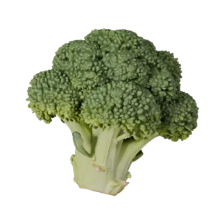 Organic Broccoli Head 3D Asset for Online Browsers