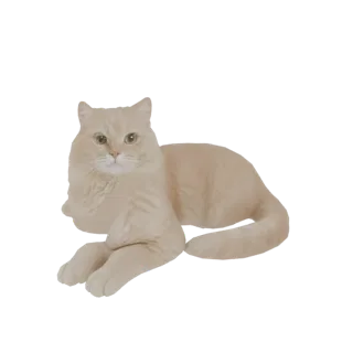 Un modèle 3D d'un chat crème moelleux couché, les pattes croisées, regardant vers le spectateur.