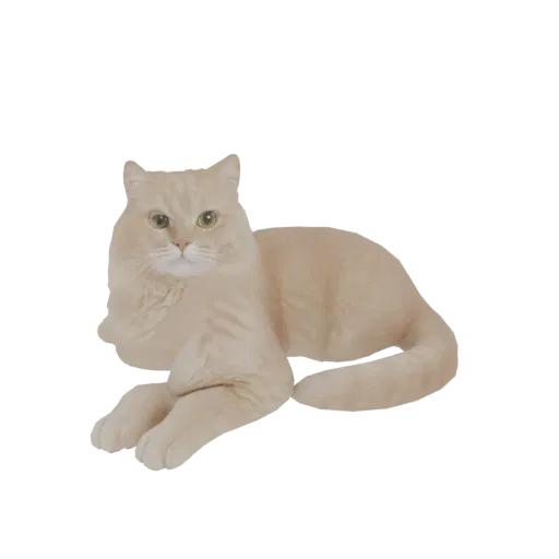 A 3D model of a fluffy cream-colored cat lying down with its paws crossed and looking towards the viewer.