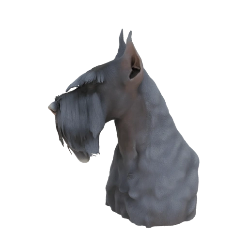Giant Schnauzer Head 3D Model