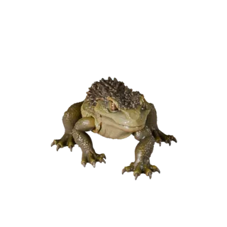 High Poly Gecko 3D Model - Detailed STL Asset for Printing