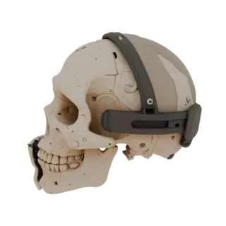 3D model of human anatomical skull with futuristic helmet, side view