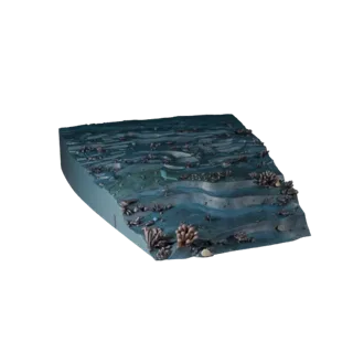 High Poly Coral Reef Seabed Biome 3D for VFX Close-Ups