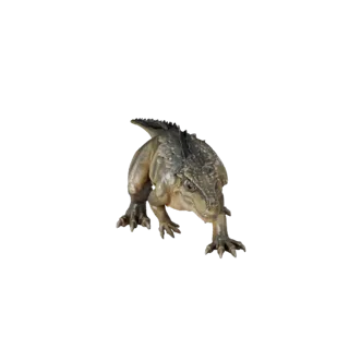 Komodo Dragon 3D Model for Unity - Game Ready Asset, FBX | PBR