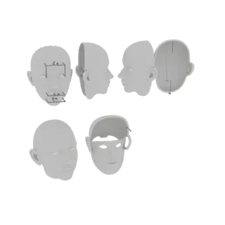 3D model of a human head, shown from the front and side, with internal skull components separated in an exploded view.