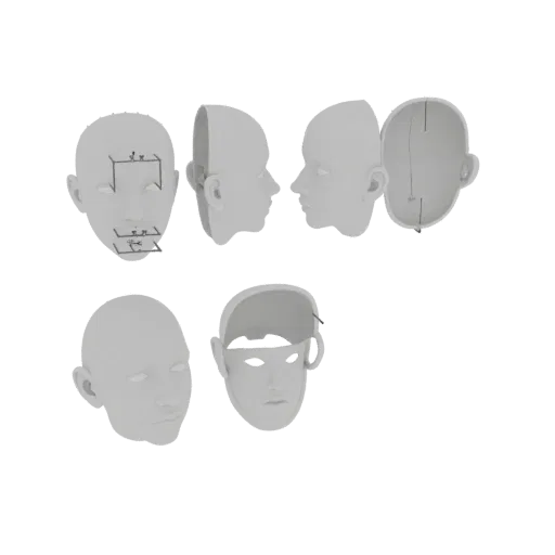 Modello 3D di testa umana, mostrato frontalmente e lateralmente, con componenti interni del cranio separati in vista esplosa.