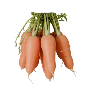 Market Carrot Bunch 3D Asset for Cinematic Renders