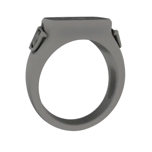 Signet Ring collectible detail 3D model, studio profile shot, with calibrated ring silhouette and material reads.