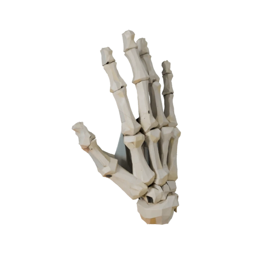 Skull Hand Bones 3D Game Asset for Realtime Engines
