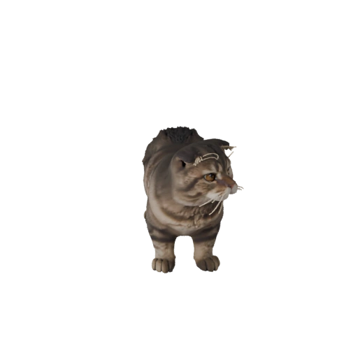 Modèle 3D Scottish Fold pour Unity - Actif prêt pour le jeu, FBX | PBR