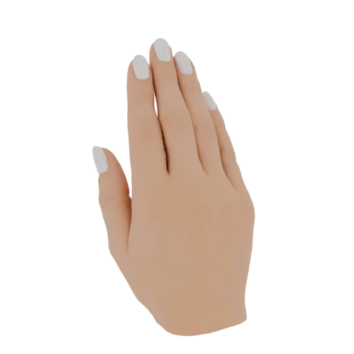 A 3D render of a realistic female hand with perfectly manicured white nails, presented against a white background.