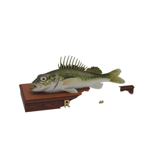 3D model of a realistic trophy bass fish mounted on a wooden plaque, with a small 'R' initial on the plaque.