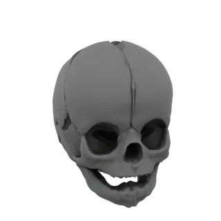Baby Skull 3D Model