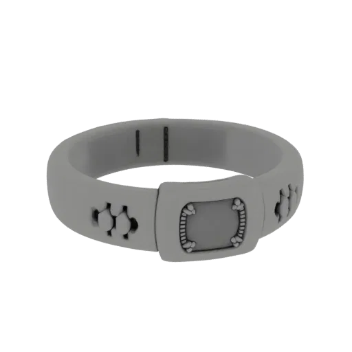 Signet Ring render detail 3D model, isometric studio render, highlighting ring form and finish detail.