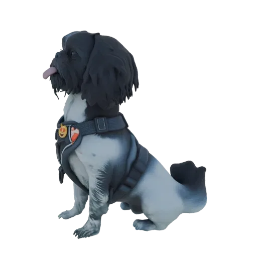 3D model of a black and white Shih Tzu dog sitting down, wearing a grey harness with a small pumpkin charm, tongue sticking o