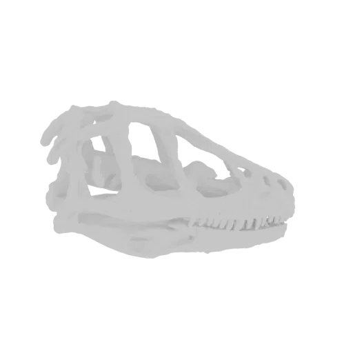 Ein detailliertes 3D-Modell eines weißen Dinosaurierschädels, von der Seite betrachtet, vor weißem Hintergrund.