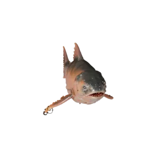 Realistic Salmon 3D Model - Rigged PBR Asset for Games | PBR