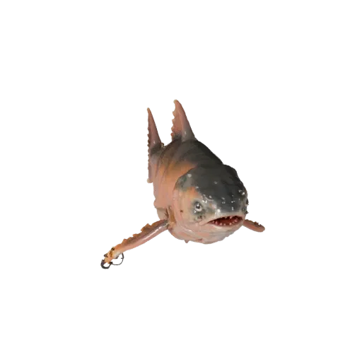Realistisches Lachs 3D-Modell, Seitenansicht Wildtier-Rendering, animationsbereites Tier-Asset mit Oberflächenaufbruch, Floss