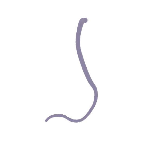 A 3D model render of a minimalist, single-line outline of a human nose against a white background.