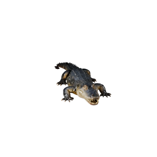 Реалистичный 3D модель кайман - Rigged PBR Asset для игр | PBR