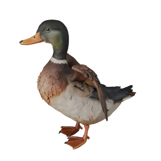 Modelo 3D de Pato para Blender - Recurso PBR con Texturas | Libre de Regalías
