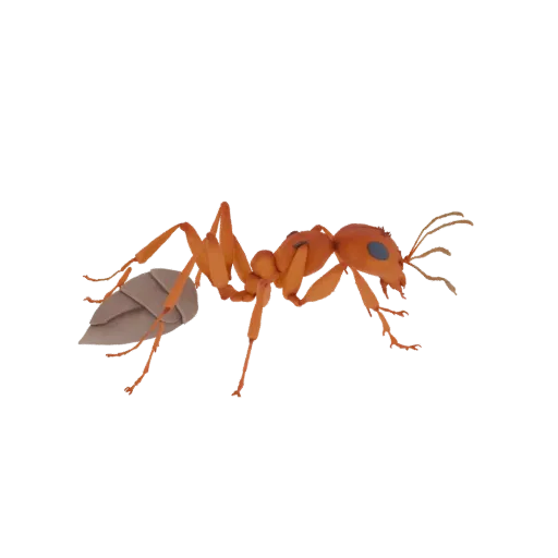 A 3D render of an orange ant with a segmented abdomen, shown in profile against a black background.