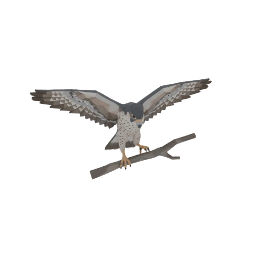Low Poly Falcon Perched on Branch 3D Model