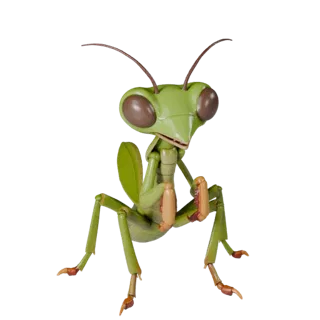 Cartoon Praying Mantis 3D Model - Stylized Asset for Animation