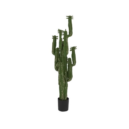 3D model of a tall, green Saguaro cactus with multiple arms, standing in a black pot against a white background.