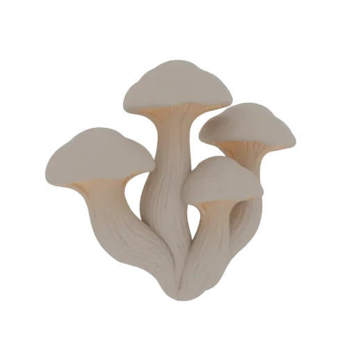 A 3D render of a cluster of pale oyster mushrooms with visible gills, set against a white background.