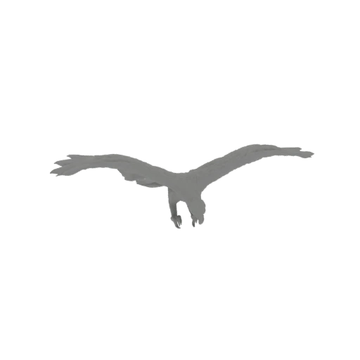 Eagle in Flight 3D Model