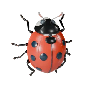 Ladybug 3D Model for Unity - Game Ready Asset, FBX | Royalty-Free