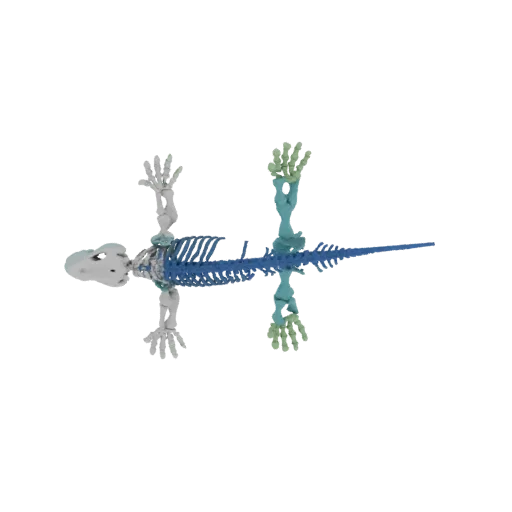 Vista cenital de un modelo 3D de esqueleto reptiliano con colores óseos distintivos para cráneo, columna, costillas y extremi