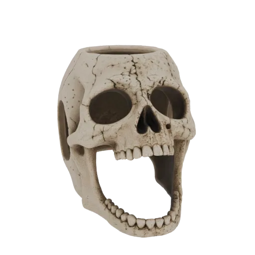 3D model of a screaming skull with an open mouth, designed as a planter, with cracked texture.