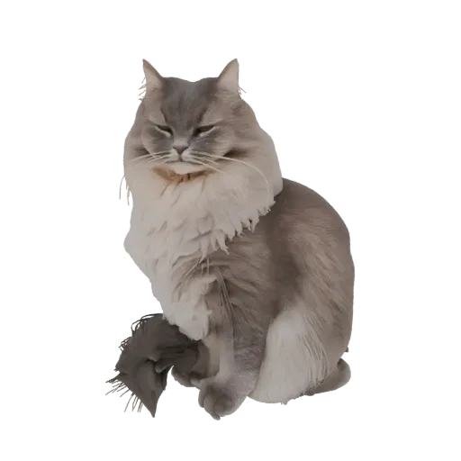 Modello 3D di un gatto grigio soffice seduto con gli occhi chiusi, che mostra una texture dettagliata della pelliccia e un'es