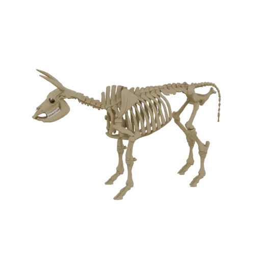 A 3D render of a complete donkey skeleton, viewed from the side against a black background.