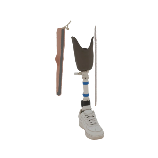 Prosthetic Leg with Sneaker