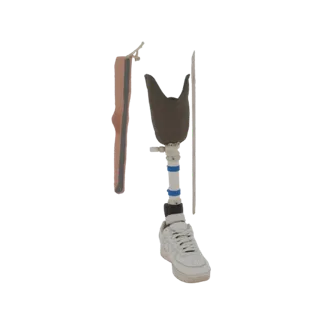 Prosthetic Leg with Sneaker