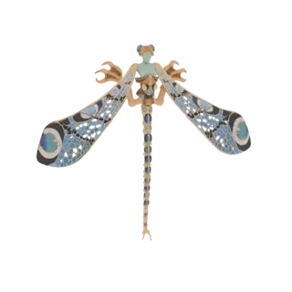 Art Nouveau Dragonfly Brooch