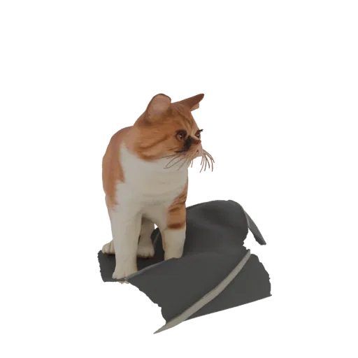 3D model of an orange tabby cat standing on a dark, textured fabric surface, looking to the side.