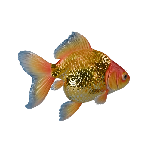 Modello 3D Pesce Rosso per Blender - Asset PBR con Texture | PBR