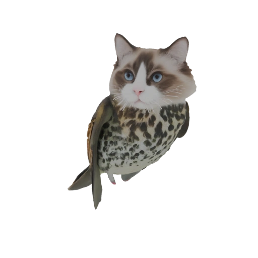 Cat-Owl Hybrid Creature
