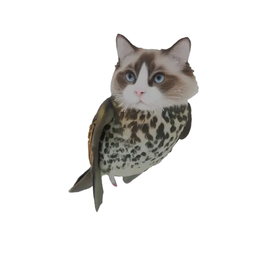 Modèle 3D d'une créature fantastique avec la tête d'un chat duveteux et le corps à motifs d'un hibou.